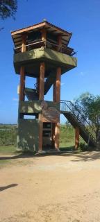 Kumana national park - Pottuvil - 5