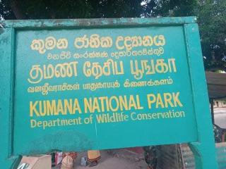 Kumana national park - Pottuvil - 2