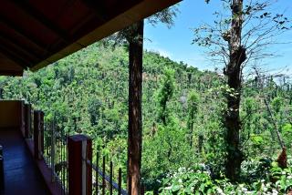 Aayana Valley - Chikmagalur - 4