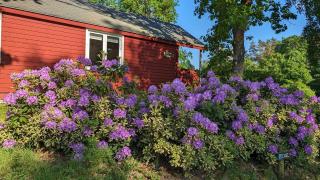 Skyttehusets Camping - Silkeborg - 4