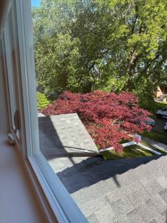 Pristine Brand New Duplex, Prime Location! - Vancouver - 3