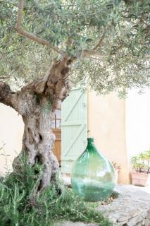 Le Bastidon des Collines - Aubagne - 1