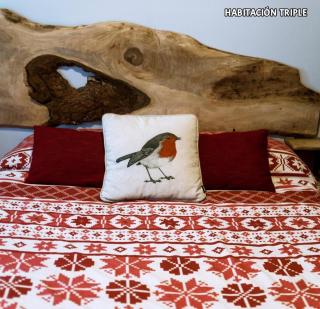 Hostal Rural Sant Climent - Tahull - 9