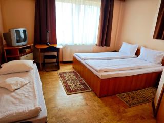 Hotel Christine - Târgu Secuiesc - 6