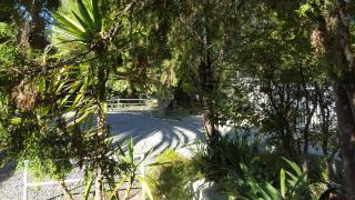 Old Umtali Guest House - Joanesburgo - 1