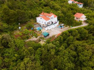 Villa Paradiso in Plomin - Istrien - Plomin - 1