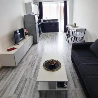 Esther Apartment - Timişoara - 7