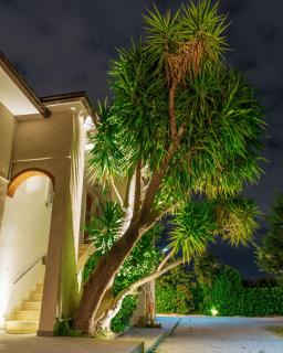 La Suite Di Giovina by VILLA YUCCA - 8