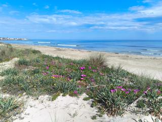 Tempesta Home Salento - 0