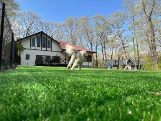 Fun Dog Villa Nasu -ファンドッグ ヴィラ那須 - - 9