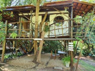 Ecocentro Brasil - Flamboyant - São Pedro - 6