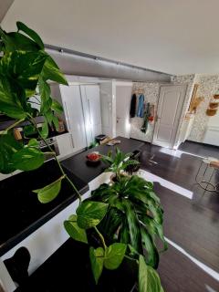 Appartement cosy Bayonne - Bayonne - 9