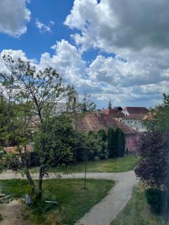 Panoramic Apartment - Gherla - 9