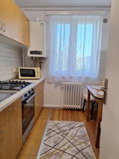 Panoramic Apartment - Gherla - 8