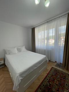 Panoramic Apartment - Gherla - 7