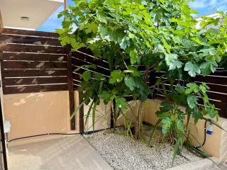 The Fig Tree Apartment - Aglantzia - 2
