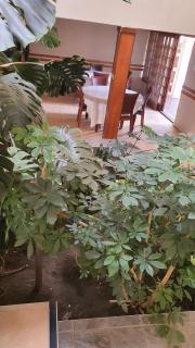 Otj pride guest house - Vosburg - 1