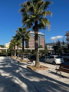 Sun of a Beach - Polisi i Vogël - 0
