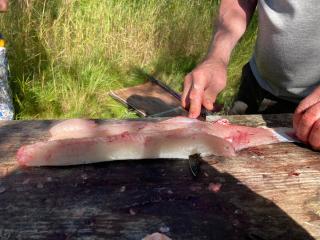 Traditional wooden house at the lake - 8