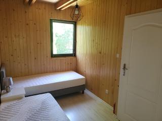 Pod Starym Klonem - 1