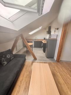 Wood loft by Mulhouse - 4