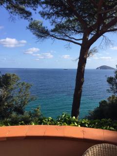 Casa La Paolina - Procchio - 4