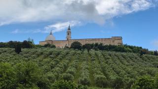 Colle al mare 34 - rooms & bike - affittacamere - Montarice - 2