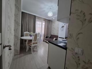 Уютные апартаменты - Astana - 1