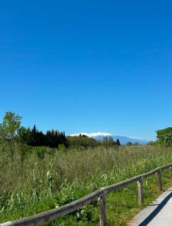 La Villa Azul - Saint-Laurent-de-la-Salanque - 2