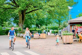 Camping het Wieskamp - Henxel - 8