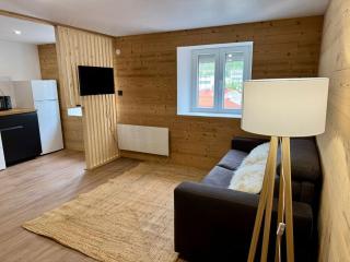 Appartement ambiance chalet avec vidéo-projecteur - Morez - 5