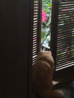 September Huizhou Inn - 9