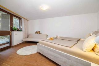 Apartments in Selce 41668 - 2