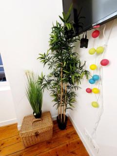 Le Erquy - Proche gare et centre. - 6