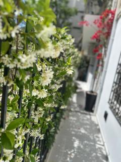 Athenian Coastal Urban Living - Athens - 2