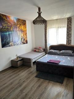 Casa Rarăului - Câmpulung Moldovenesc - 8