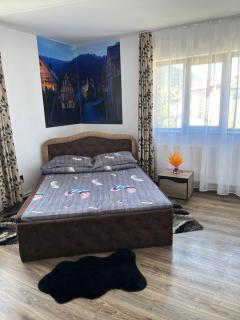 Casa Rarăului - Câmpulung Moldovenesc - 2