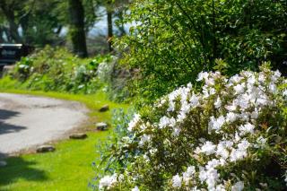 The Coach House - Pwllheli - 4