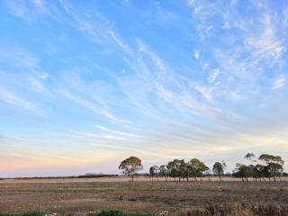 Dairy Escape by Tiny Away - Camperdown - 0