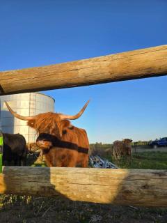 Dairy Escape by Tiny Away - Camperdown - 5