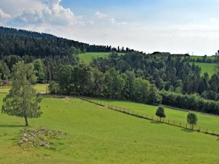 Holiday home with panoramic view and every convenience - spa - Waldkirchen - 4