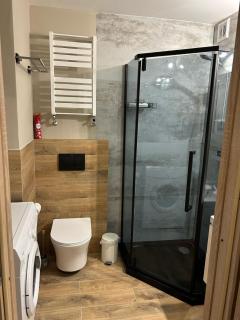 Apartament dwupokojowy z ogrodem - Poznań - 6