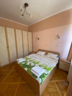 Comfortable Downtown - Kyiv - 0