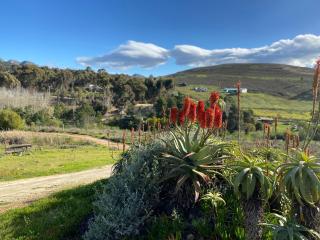 Red Aloe Farm - Hartebeesrivier - 6
