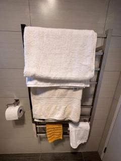 BEBE Self-contained Granny Flat with Own Access - Auckland - 1