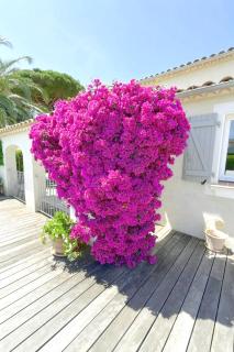 Nice Holiday home Grimaud - Grimaud - 2