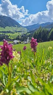Neuhauserhof - Kartitsch - 1
