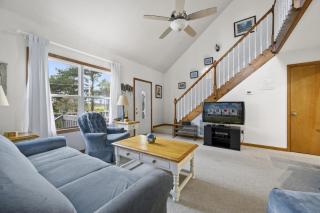 Sand Dollar - Chincoteague - 9