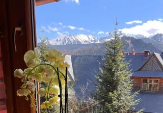Willa Regionalna - Zakopane - 9