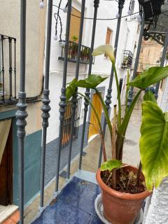 Casa LaMedina - Pegalajar - 3